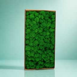 Green Moss