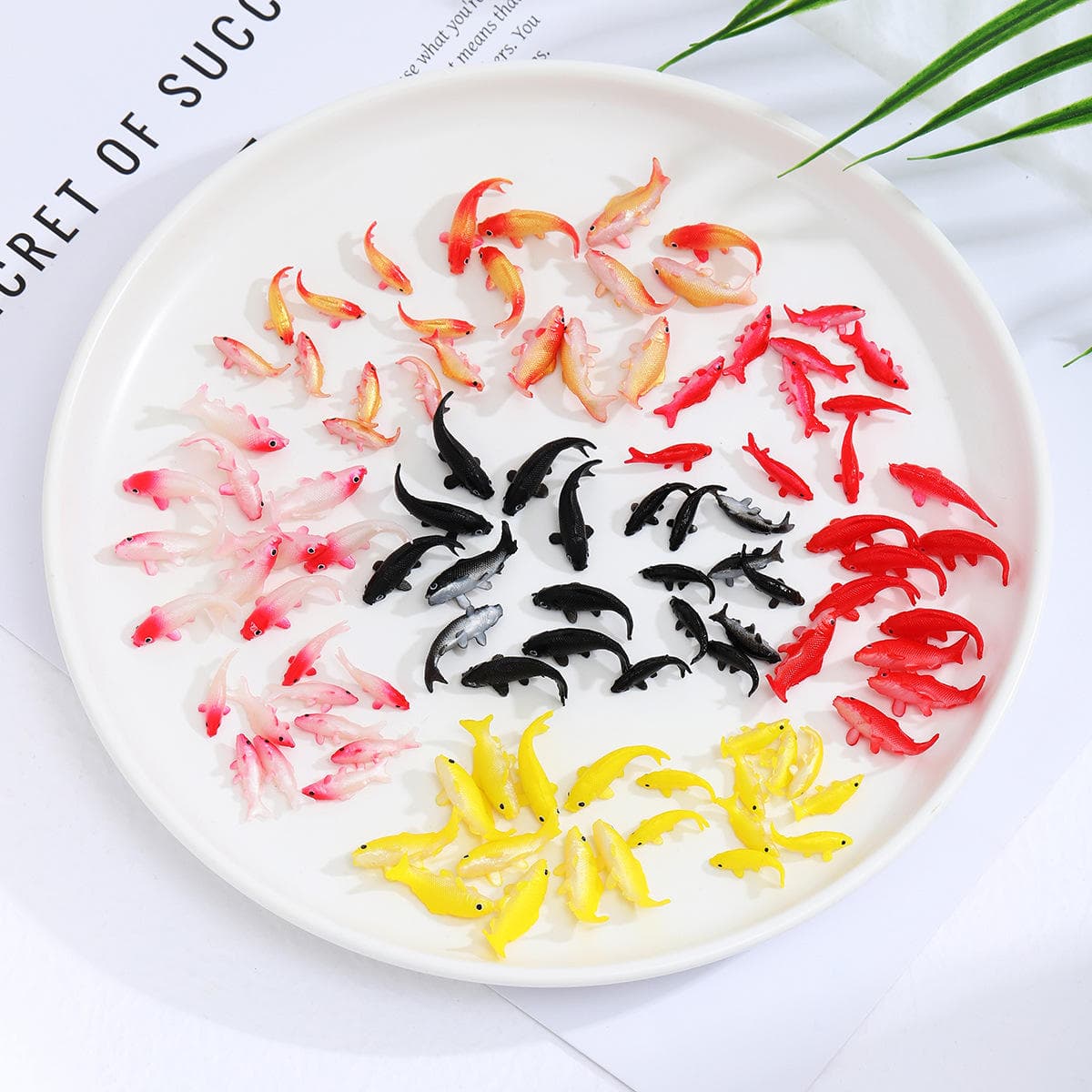 Miniature fish mini carp goldfish koi fish